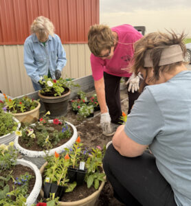 3 ladies with work gloves working with soil and plants in planters